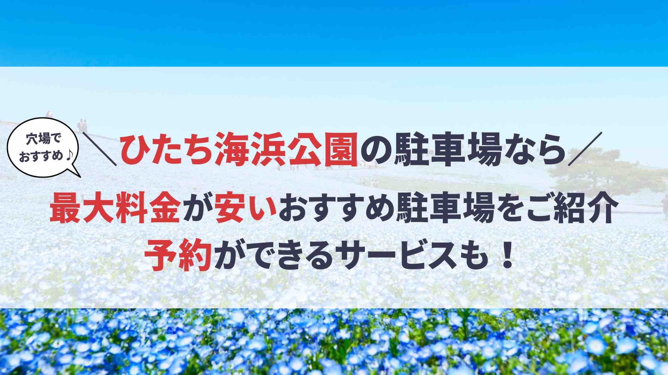 ひたち海浜公園 駐車場